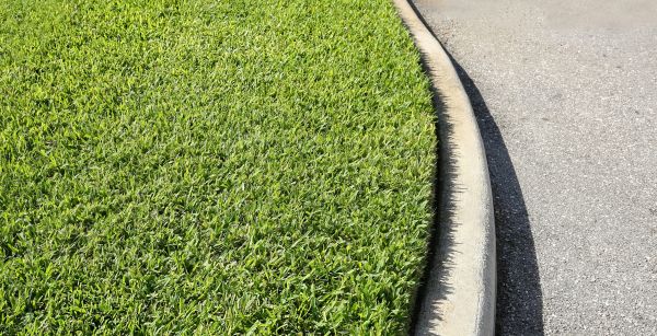 Driveway Curb Repair in New Orleans